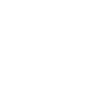 FHSOFTSPA